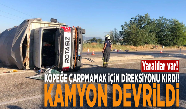 Köpeğe çarpmamak için direksiyonu kırdı! Kamyon devrildi: Yaralılar var