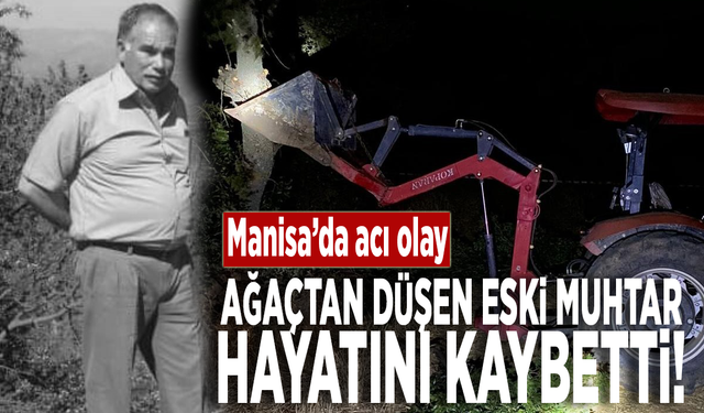 Manisa'da acı olay! Ağaçtan düşen eski muhtar hayatını kaybetti