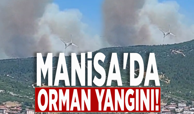 Manisa'da orman yangını! Ekipler müdahale ediyor