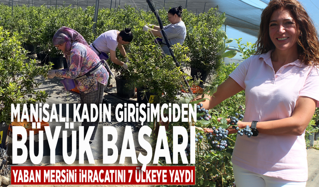 Manisalı kadın girişimciden büyük başarı: Yaban mersini ihracatını 7 ülkeye yaydı