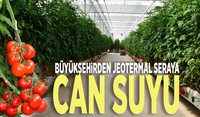 Büyükşehirden jeotermal seraya can suyu