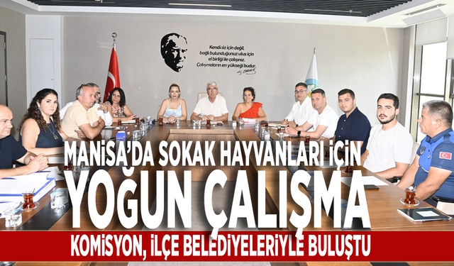 Manisa’da sokak hayvanları için yoğun çalışma: Komisyon ilçe belediyeleriyle buluştu