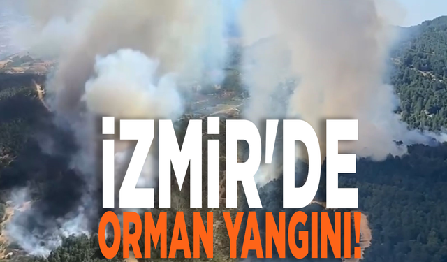 İzmir'de orman yangını! Ekipler havadan ve karadan müdahale ediyor