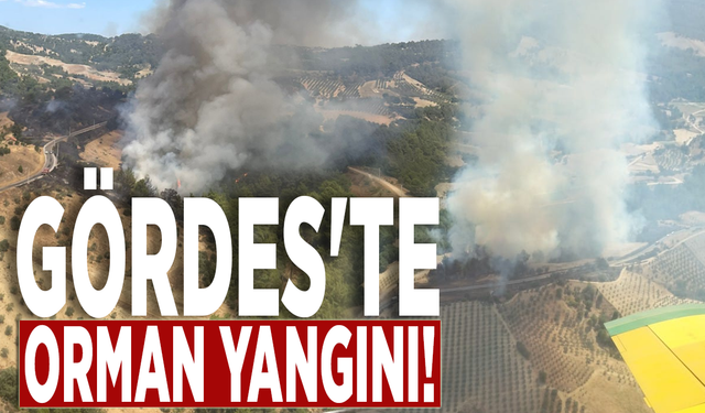 Gördes'te orman yangını!