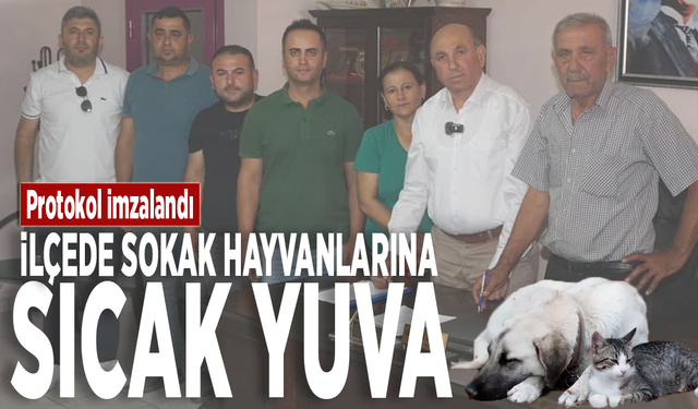 Protokol imzalandı: İlçede sokak hayvanlarına sıcak yuva