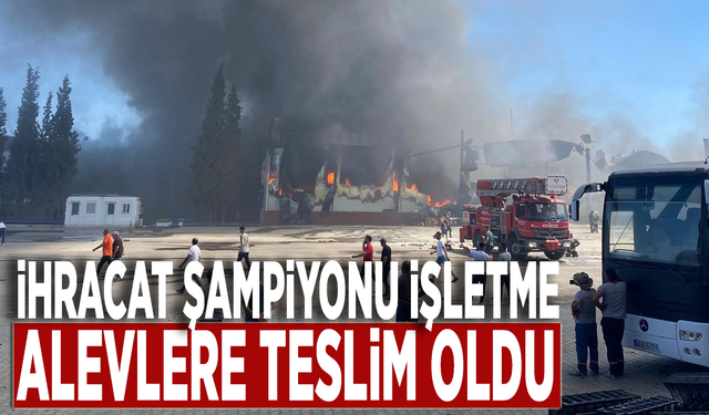 İhracat şampiyonu işletme alevlere teslim oldu