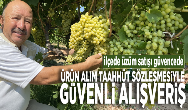 İlçede üzüm satışı güvencede: Ürün alım taahhüt sözleşmesiyle güvenli alışveriş