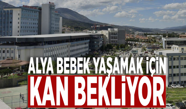 Alya bebek yaşamak için kan bekliyor