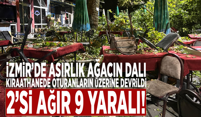 İzmir'de asırlık ağacın dalı kıraathanede oturanların üzerine devrildi: 2’si ağır 9 yaralı!