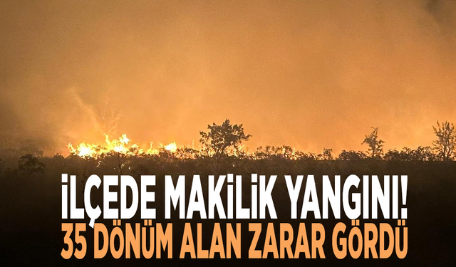 Manisa'da makilik yangını! 35 dönüm alan zarar gördü