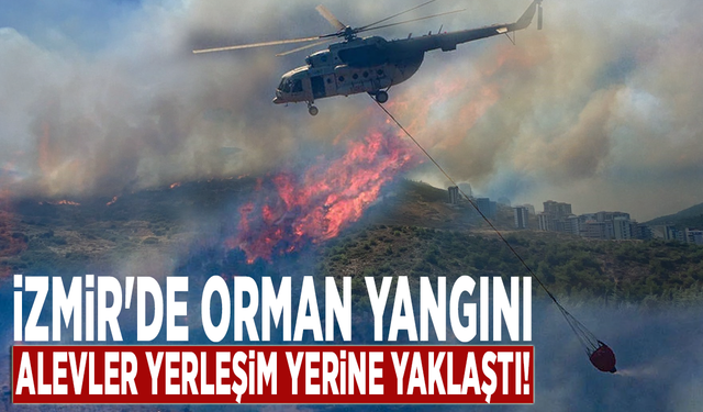 İzmir'de orman yangını: Alevler yerleşim yerine yaklaştı!