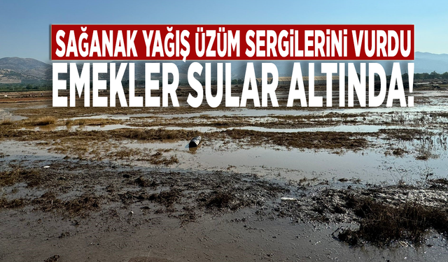 Sağanak yağış üzüm sergilerini vurdu: Emekler sular altında!