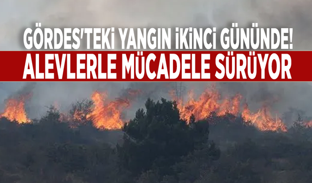 Gördes'teki yangın ikinci gününde! Alevlerle mücadele sürüyor