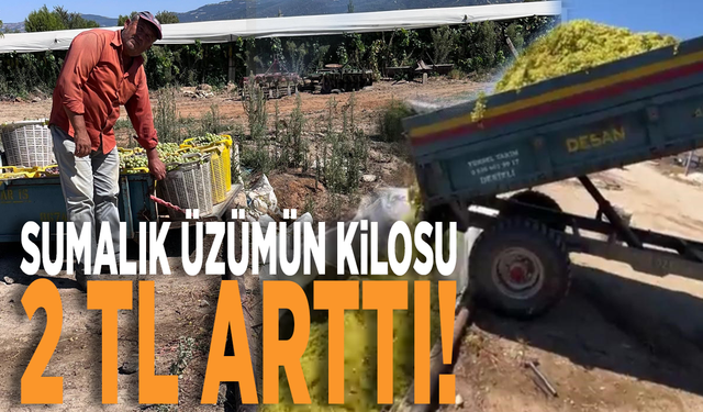 Sumalık üzümün kilosu 2 TL arttı!