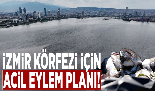 İzmir Körfezi için acil eylem planı!