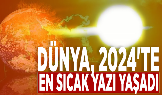 Dünya, 2024'te en sıcak yazı yaşadı