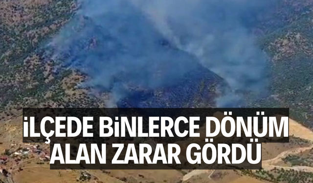 İlçede binlerce dönüm alan zarar gördü