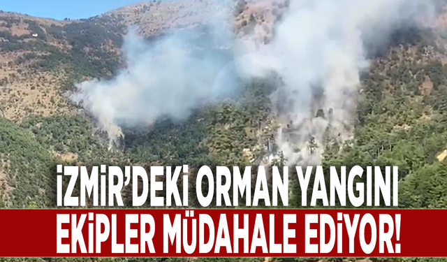 İzmir’deki orman yangını: Havadan ve karadan müdahale ediliyor!