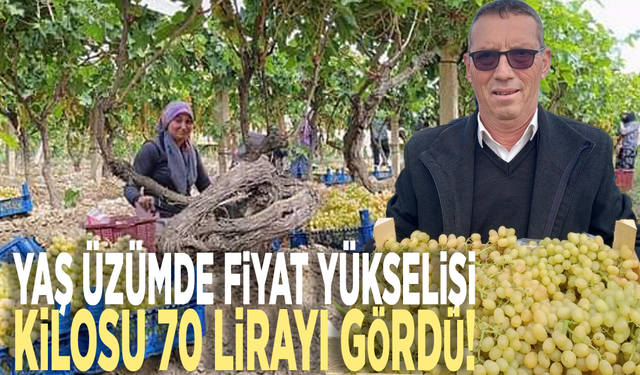 Yaş üzümde fiyat yükselişi: Kilosu 70 lirayı gördü!