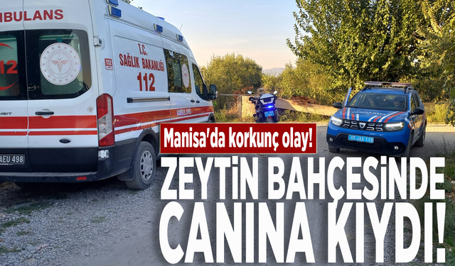 Manisa'da korkunç olay! Zeytin bahçesinde canına kıydı