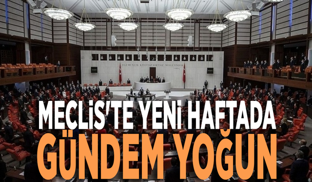 Meclis'te yeni haftada gündem yoğun