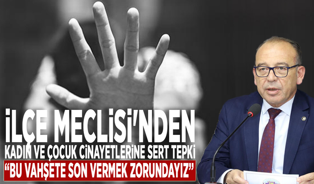 İlçe Meclisi'nden kadın ve çocuk cinayetlerine sert tepki: “Bu vahşete son vermek zorundayız”