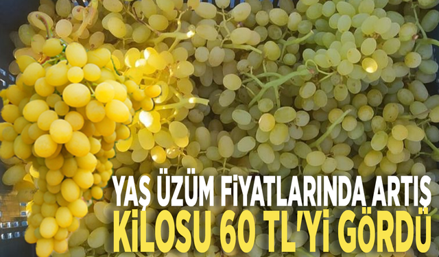 Yaş üzüm fiyatlarında artış: Kilosu 60 TL'yi gördü