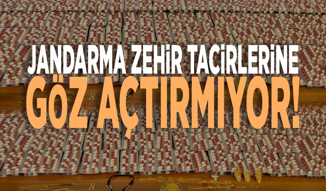 Jandarma zehir tacirlerine göz açtırmıyor!