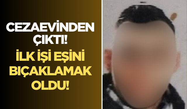 Hapisten çıkar çıkmaz eşini bıçakladı!