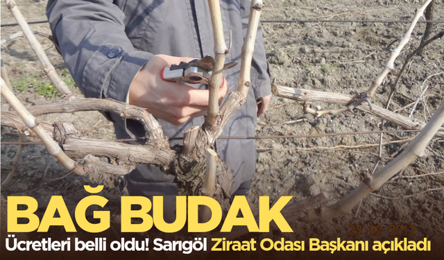 Bağ budak ücretleri açıklandı