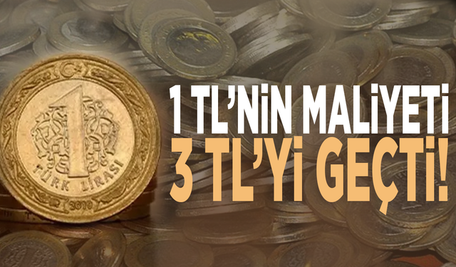 1 TL’nin maliyeti 3 TL’yi geçti!