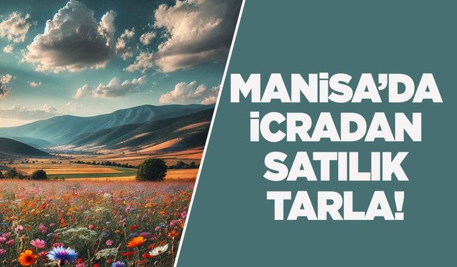 Manisa'da satılık tarla!