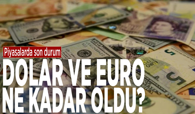 Piyasalarda son durum: Dolar ve euro bugün kaç TL?