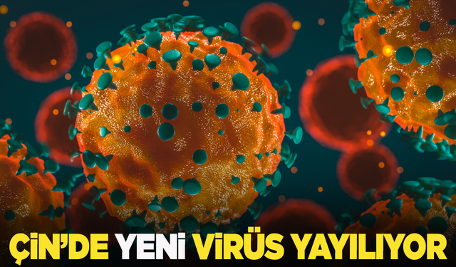 Çin'de yeni virüs yayılmaya başladı!