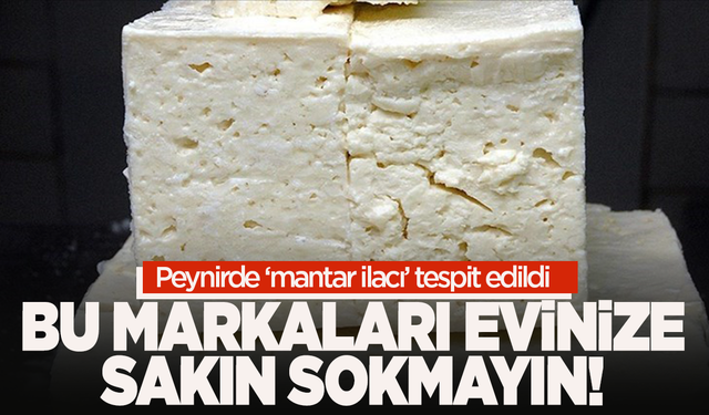 O markaların peynirlerini sakın evinize sokmayın!