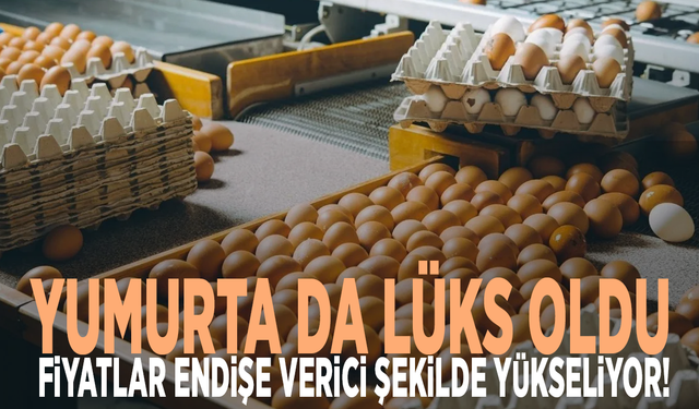 Yumurta da lüks oldu: Fiyatlar endişe verici şekilde yükseliyor!