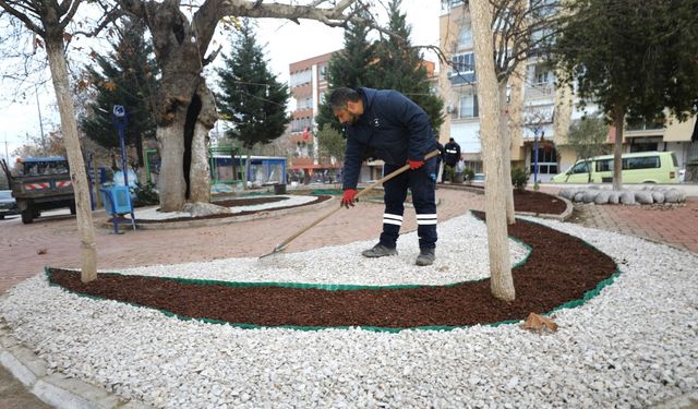 Hem doğaya katkı hem estetik görünüm