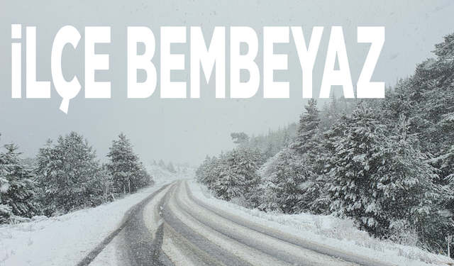 İlçe beyaza büründü!