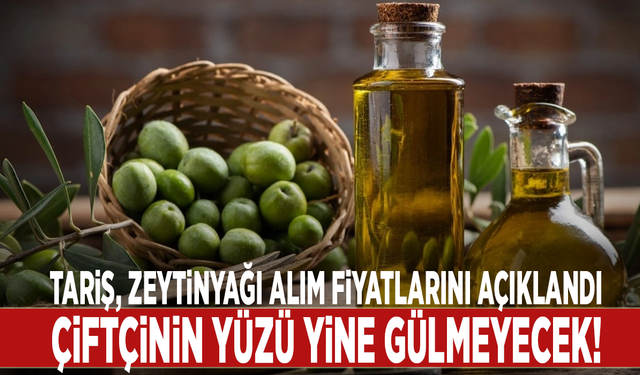 TARİŞ zeytinyağı alım fiyatlarını açıklandı: Çiftçinin yüzü yine gülmeyecek!