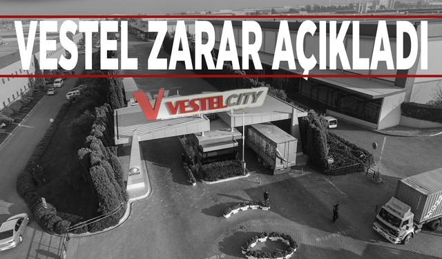 Vestel zarar açıkladı
