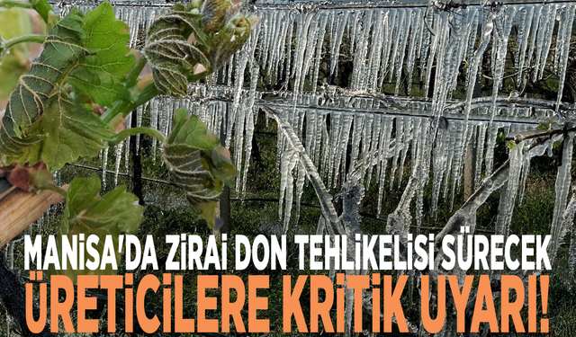Manisa'da zirai don tehlikelisi sürecek: Üreticilere kritik uyarı!