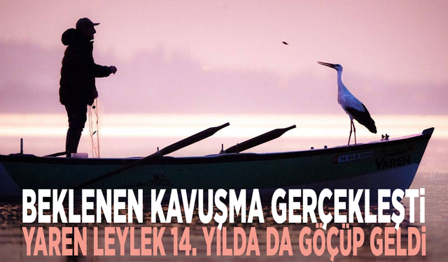 Beklenen kavuşma gerçekleşti: Yaren leylek 14. yılda da göçüp geldi