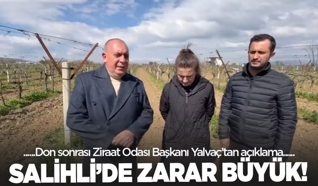 Salihli'de etkili olan don büyük zarara yol açtı! Başkan Yalvaç yetkililere seslendi