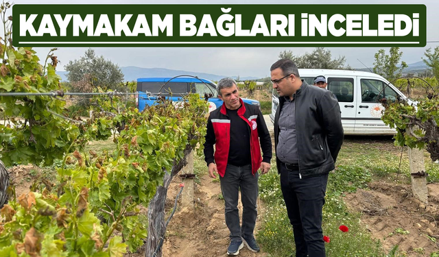 Kaymakam Dalak bağlarda incelemelerde bulundu