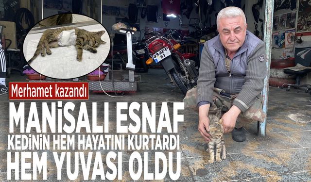 Merhamet kazandı: Manisalı esnaf kedinin hem hayatını kurtardı hem yuvası oldu
