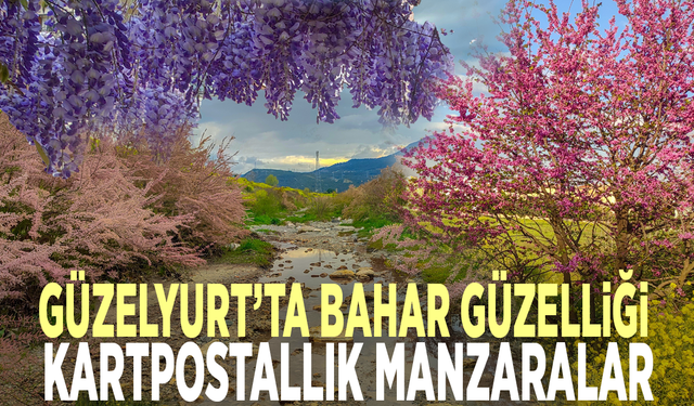 Güzelyurt’ta bahar güzelliği: Kartpostallık manzaralar