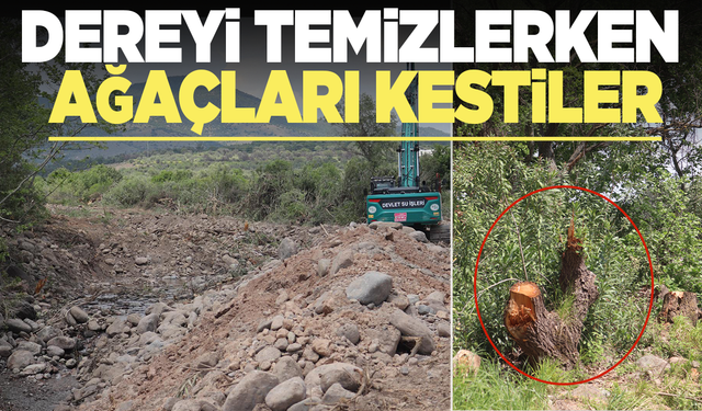 Asayiş