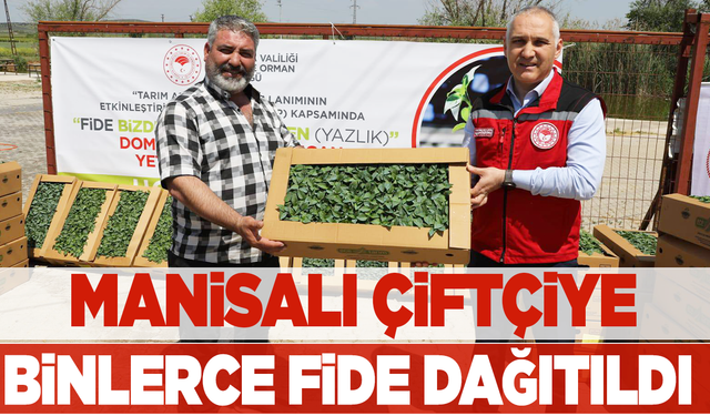 Manisa'da binlerce fide üreticiye dağıtıldı