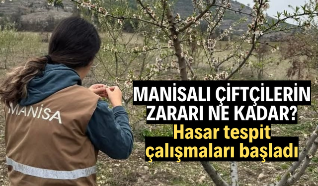 Hasar tespit çalışmaları başladı