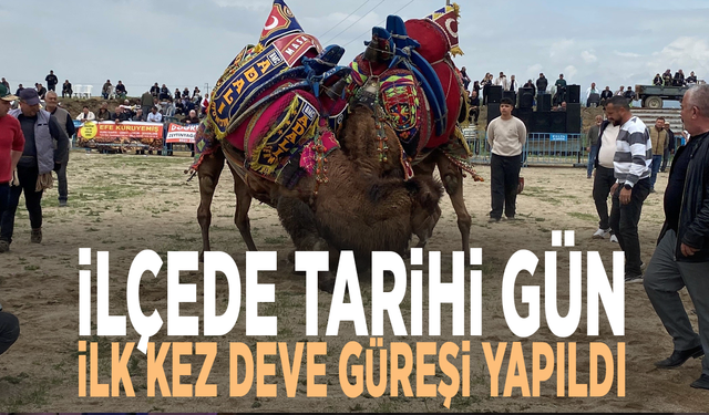 İlçede tarihi gün: İlk kez deve güreşi yapıldı